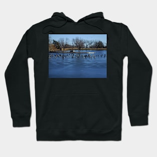 Canadian Geese  Resting on Blue Ice Hoodie